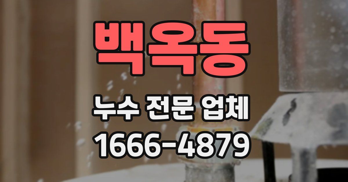 백옥동 누수 전문 업체