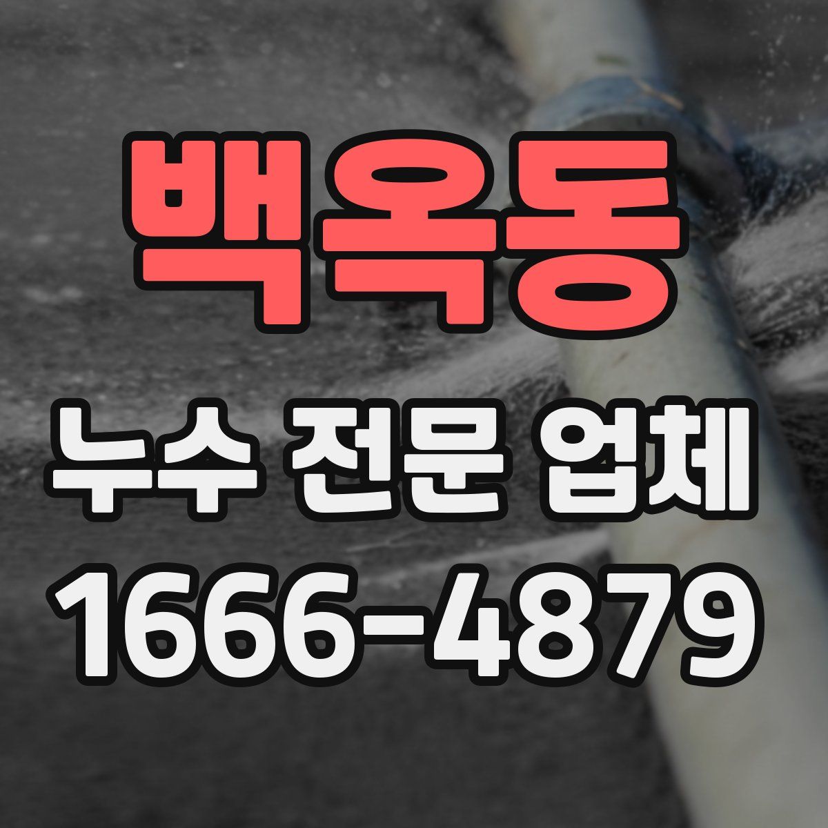 백옥동 누수 전문 업체