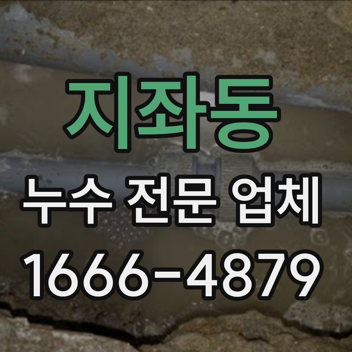 지좌동 누수 전문 업체