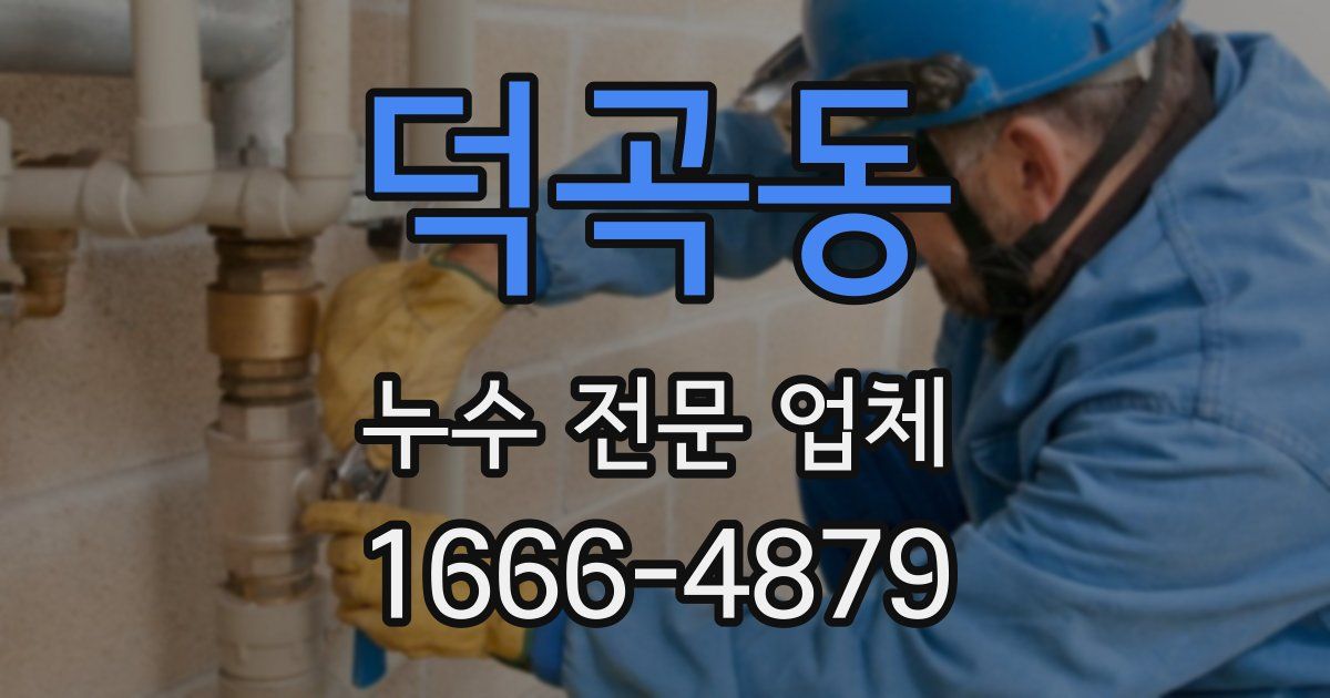 덕곡동 누수 전문 업체