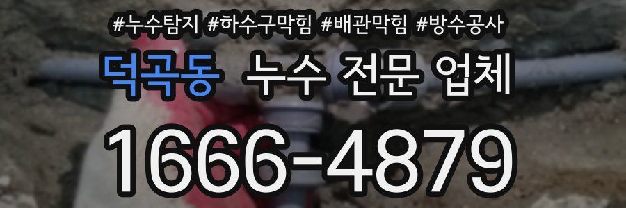 덕곡동 누수 전문 업체
