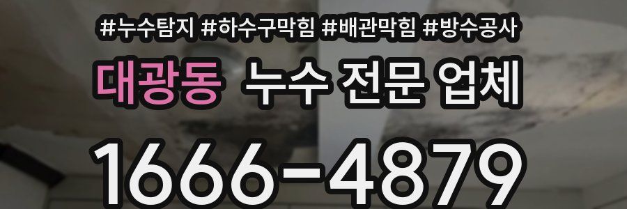 대광동 누수 전문 업체