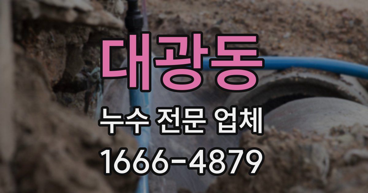 대광동 누수 전문 업체