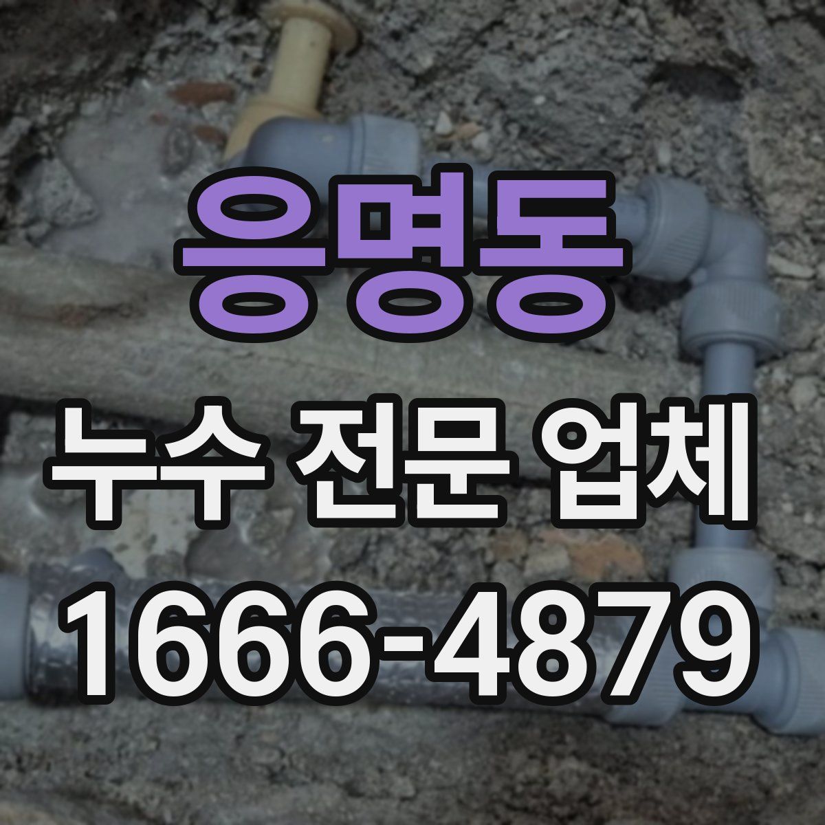 응명동 누수 전문 업체