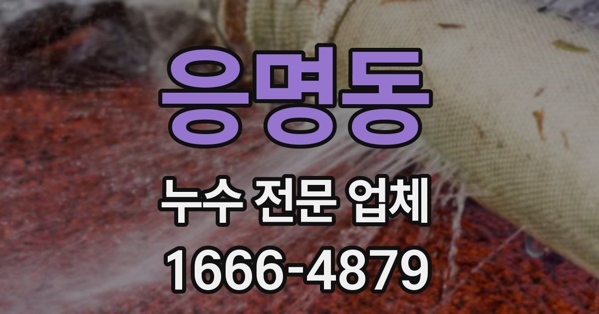 응명동 누수 전문 업체