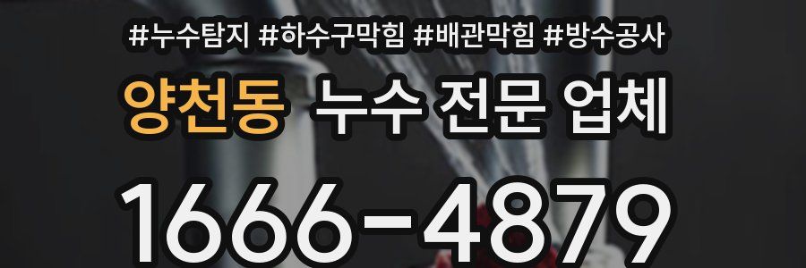 양천동 누수 전문 업체