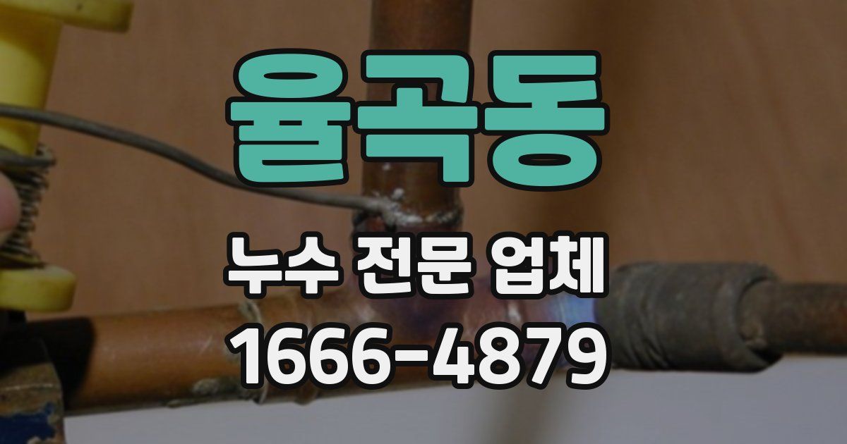 율곡동 누수 전문 업체