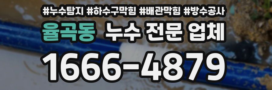 율곡동 누수 전문 업체