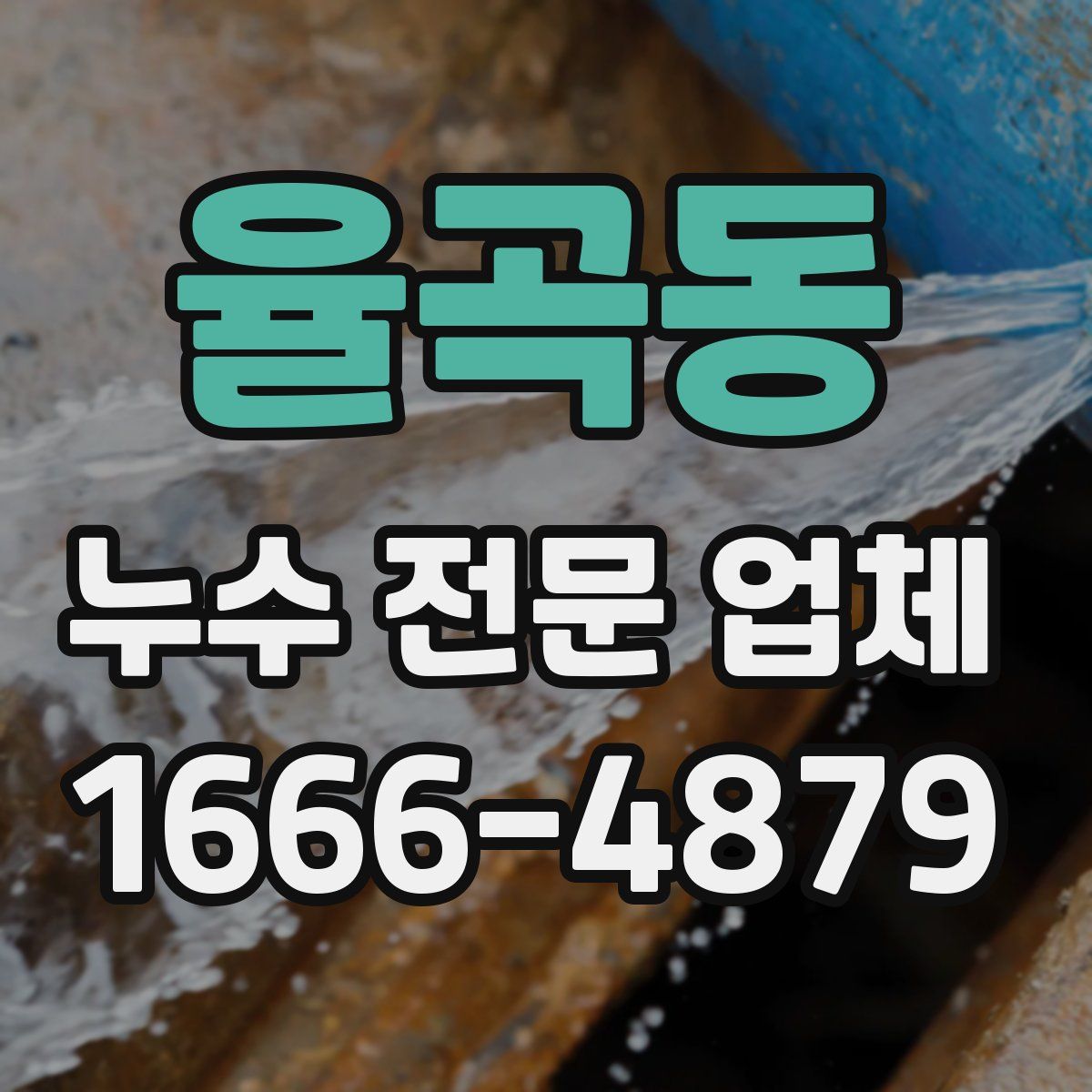 율곡동 누수 전문 업체