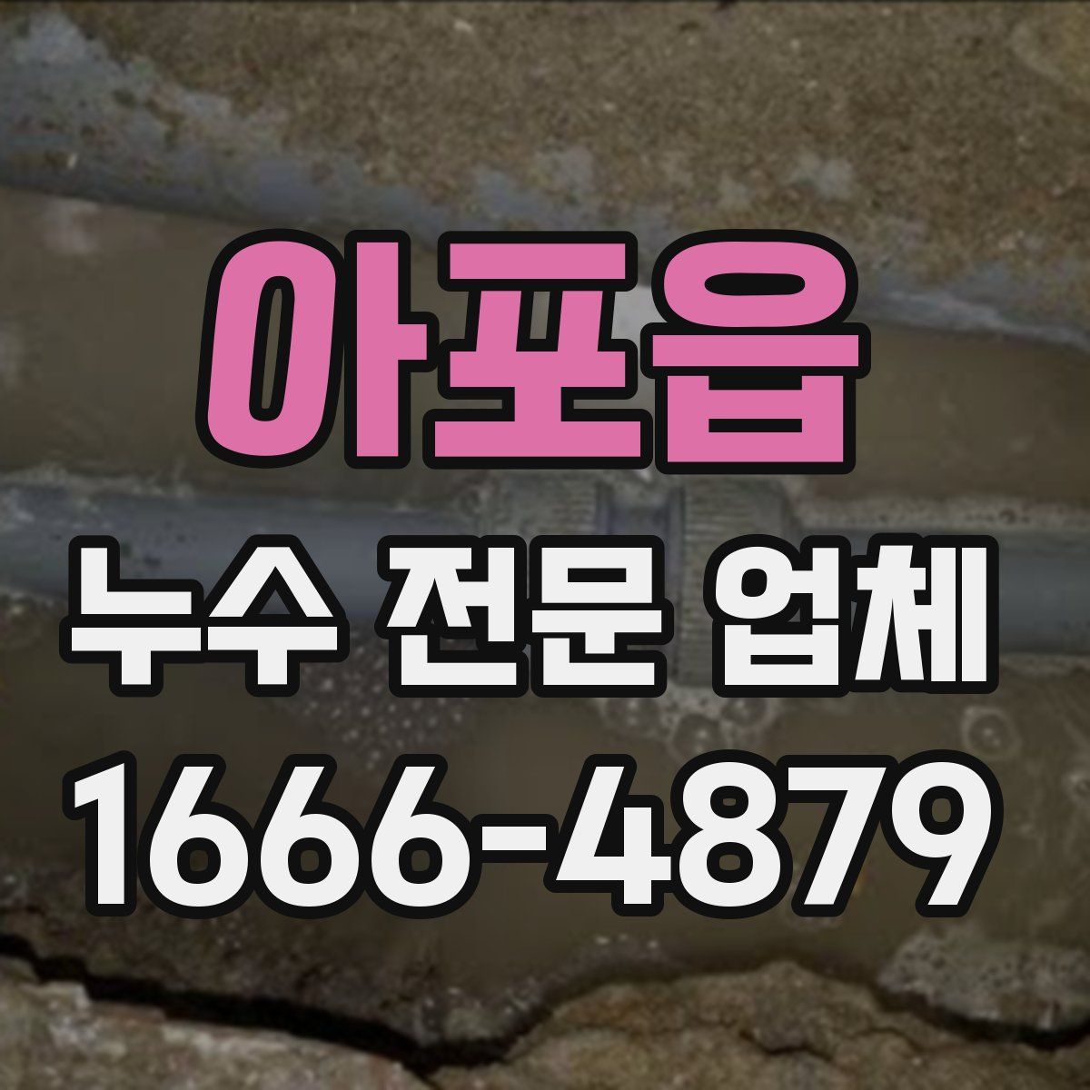아포읍 누수 전문 업체