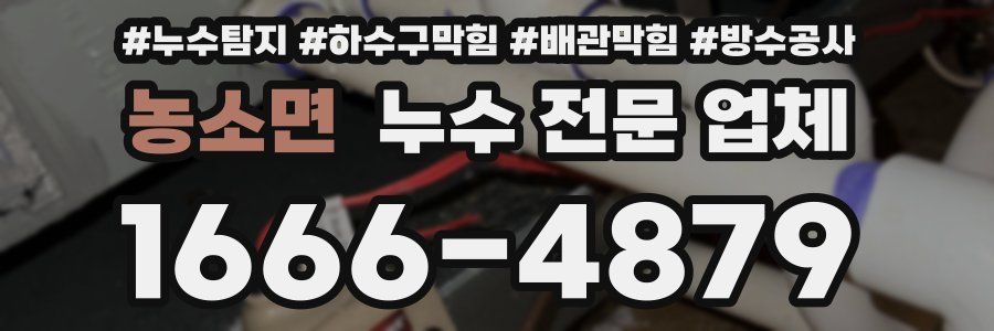 농소면 누수 전문 업체