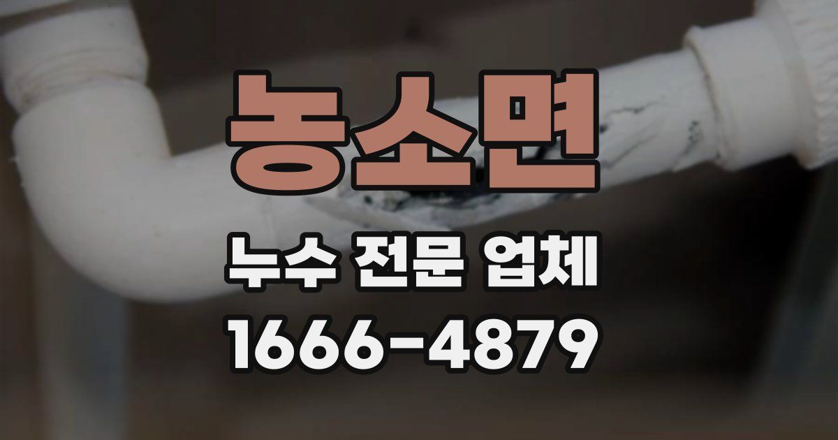 농소면 누수 전문 업체
