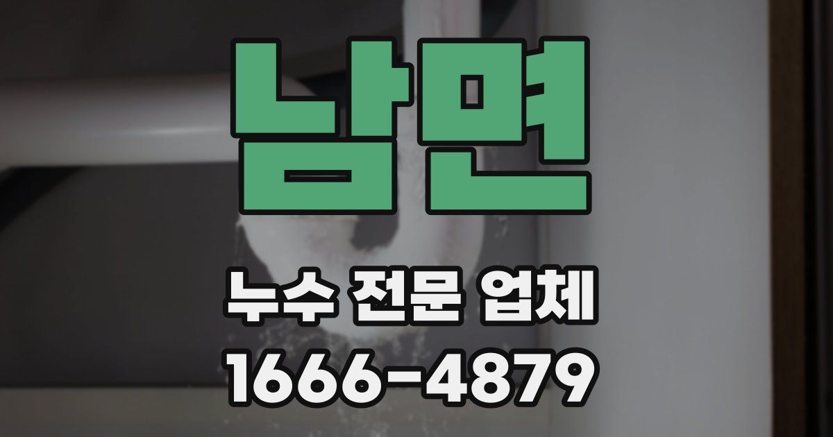 남면 누수 전문 업체
