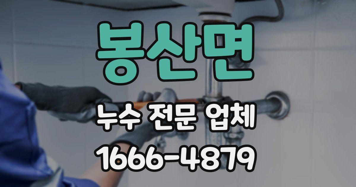 봉산면 누수 전문 업체