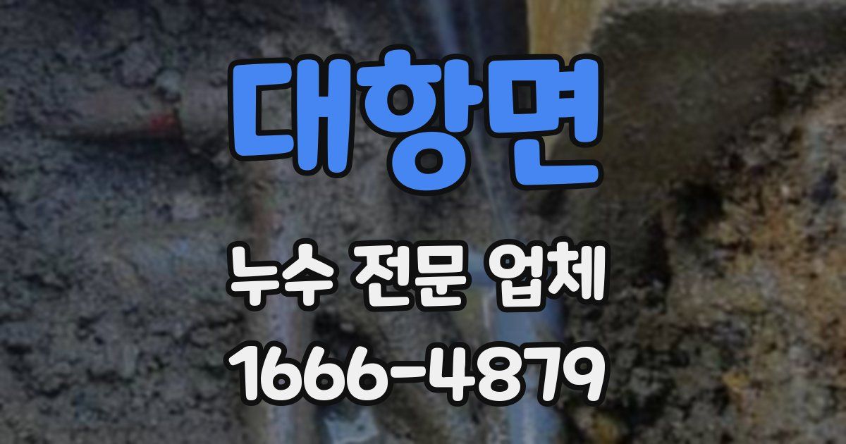 대항면 누수 전문 업체