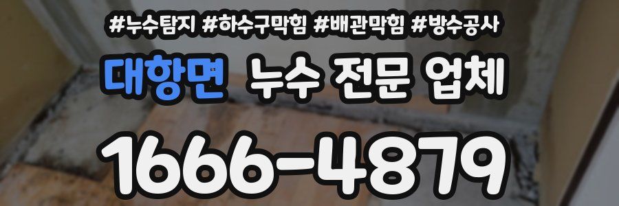 대항면 누수 전문 업체