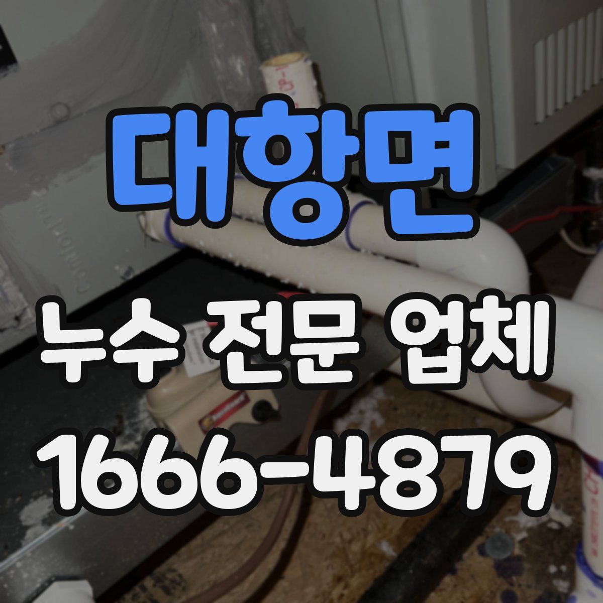 대항면 누수 전문 업체