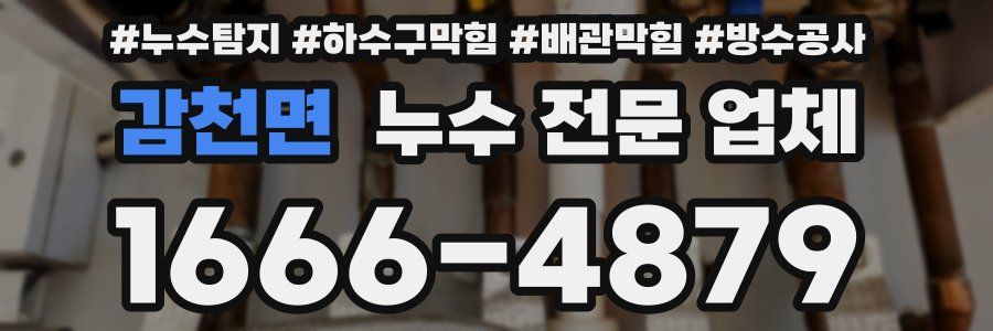감천면 누수 전문 업체