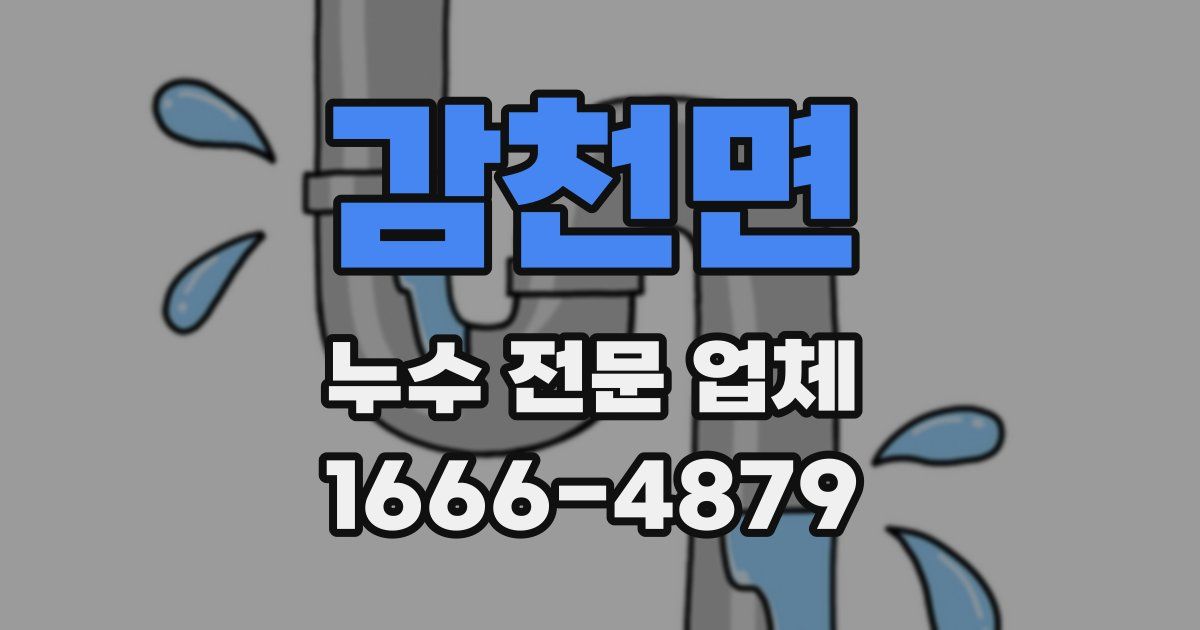 감천면 누수 전문 업체