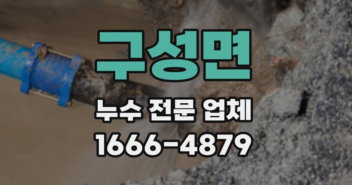 구성면 누수 전문 업체