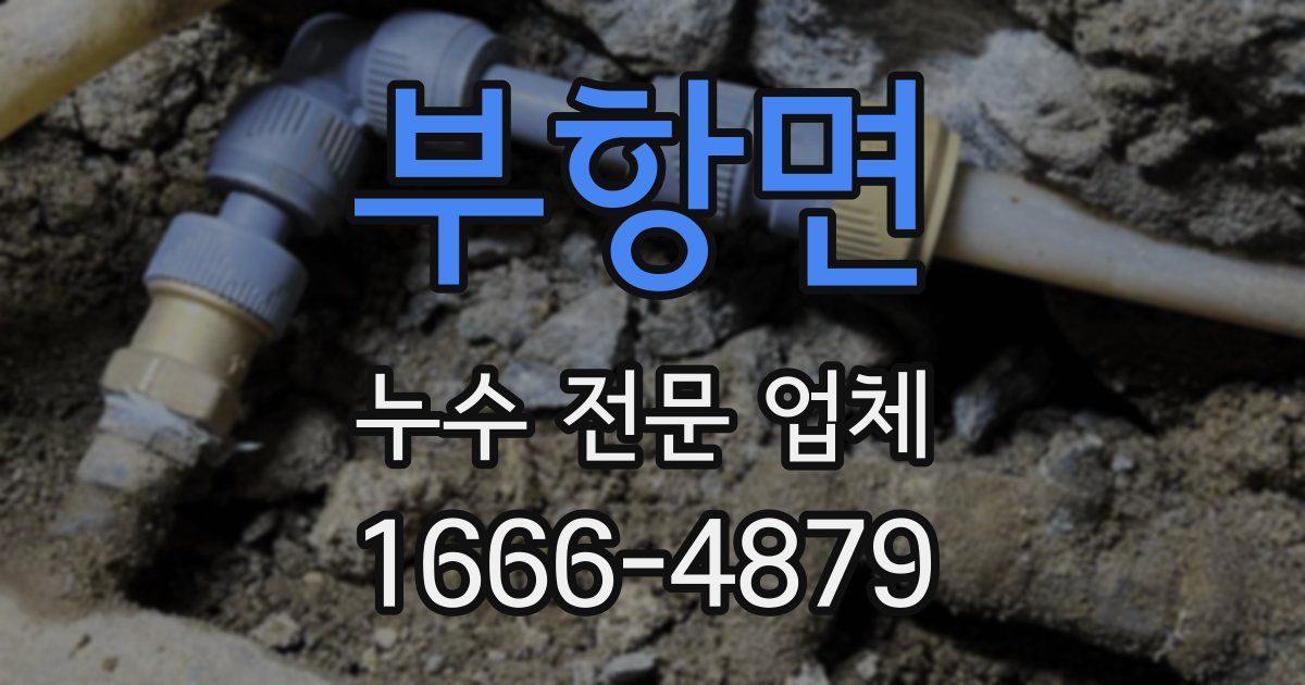 부항면 누수 전문 업체