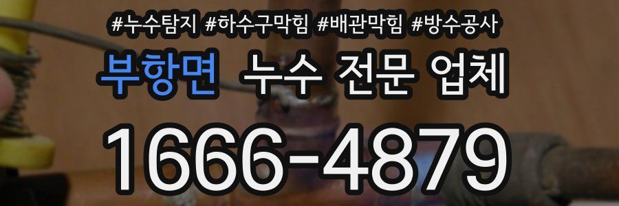 부항면 누수 전문 업체
