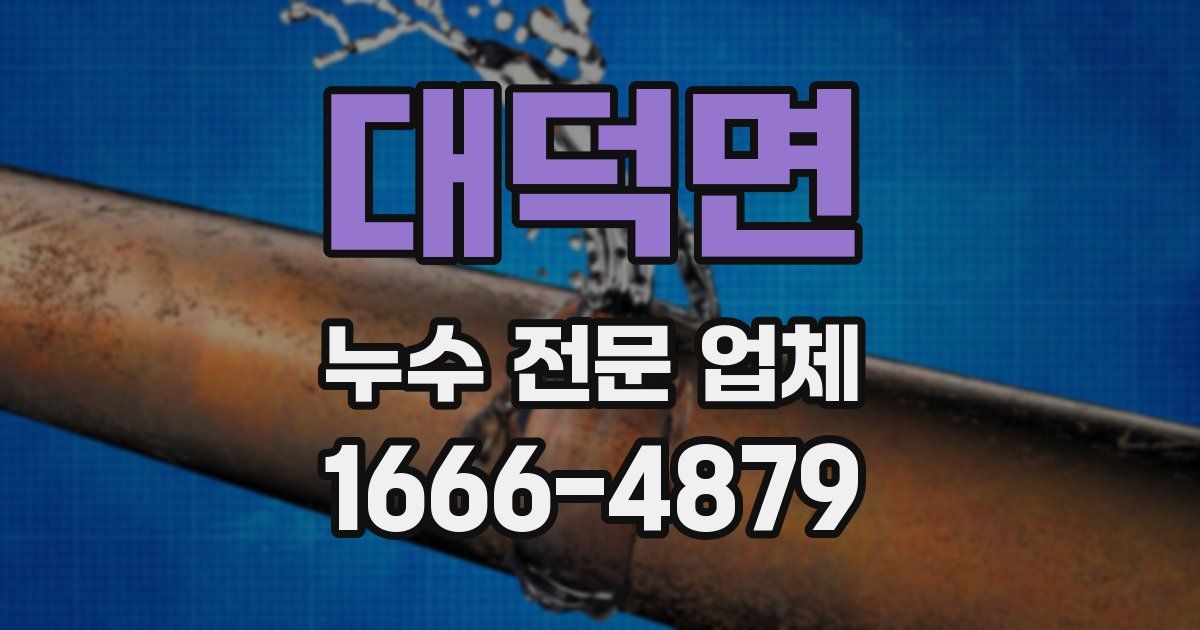 대덕면 누수 전문 업체