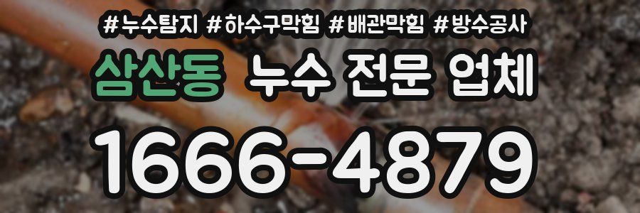 삼산동 누수 전문 업체