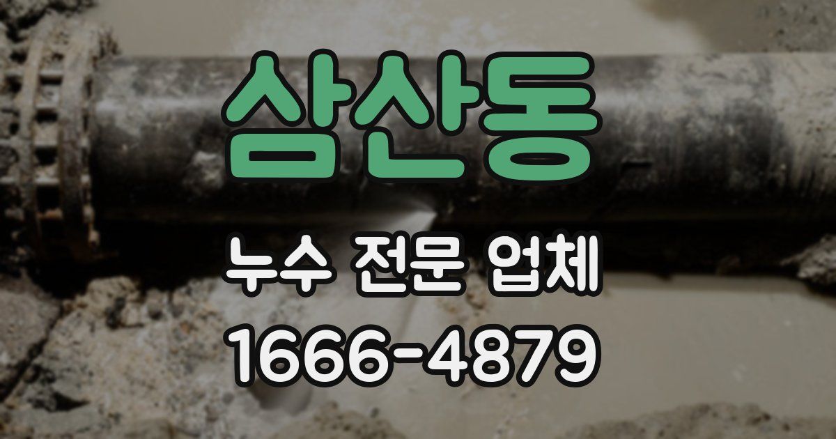 삼산동 누수 전문 업체