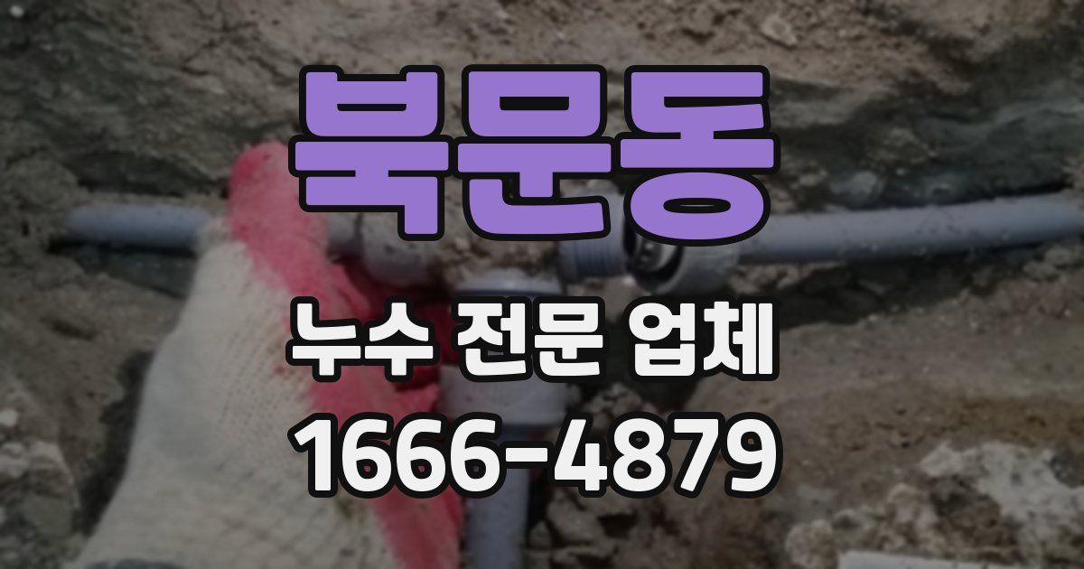 북문동 누수 전문 업체