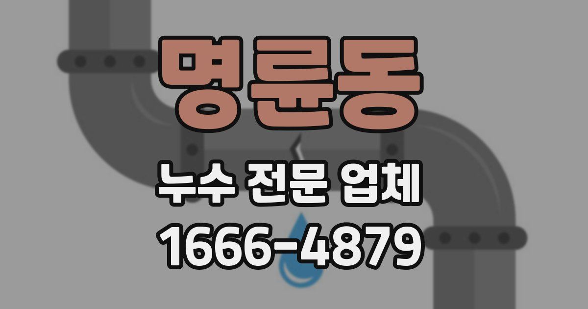 명륜동 누수 전문 업체