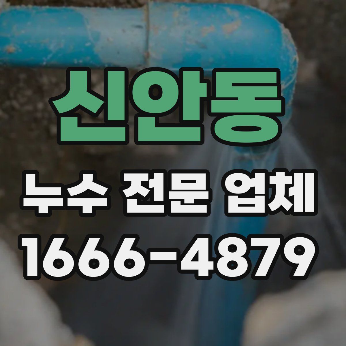 신안동 누수 전문 업체