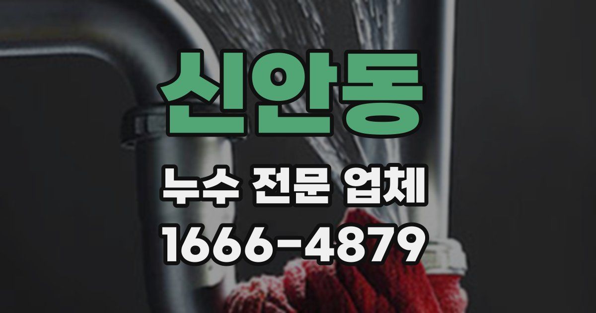 신안동 누수 전문 업체