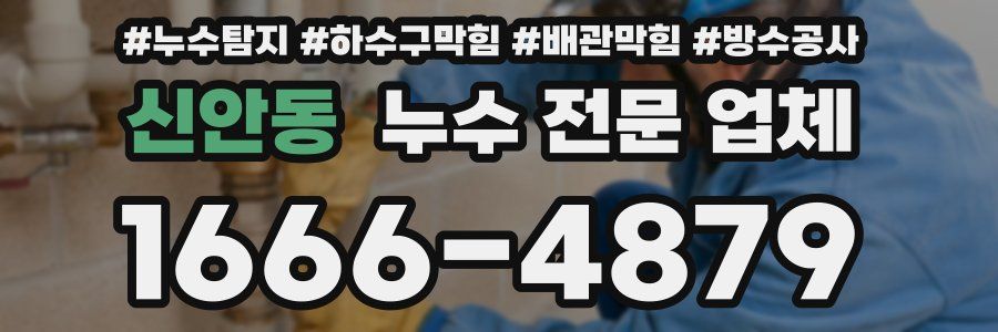 신안동 누수 전문 업체