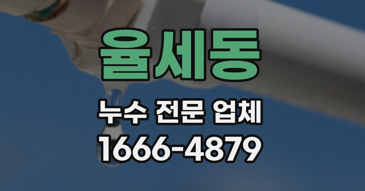 율세동 누수 전문 업체