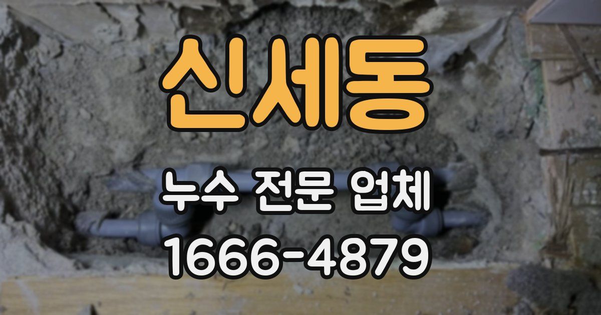 신세동 누수 전문 업체