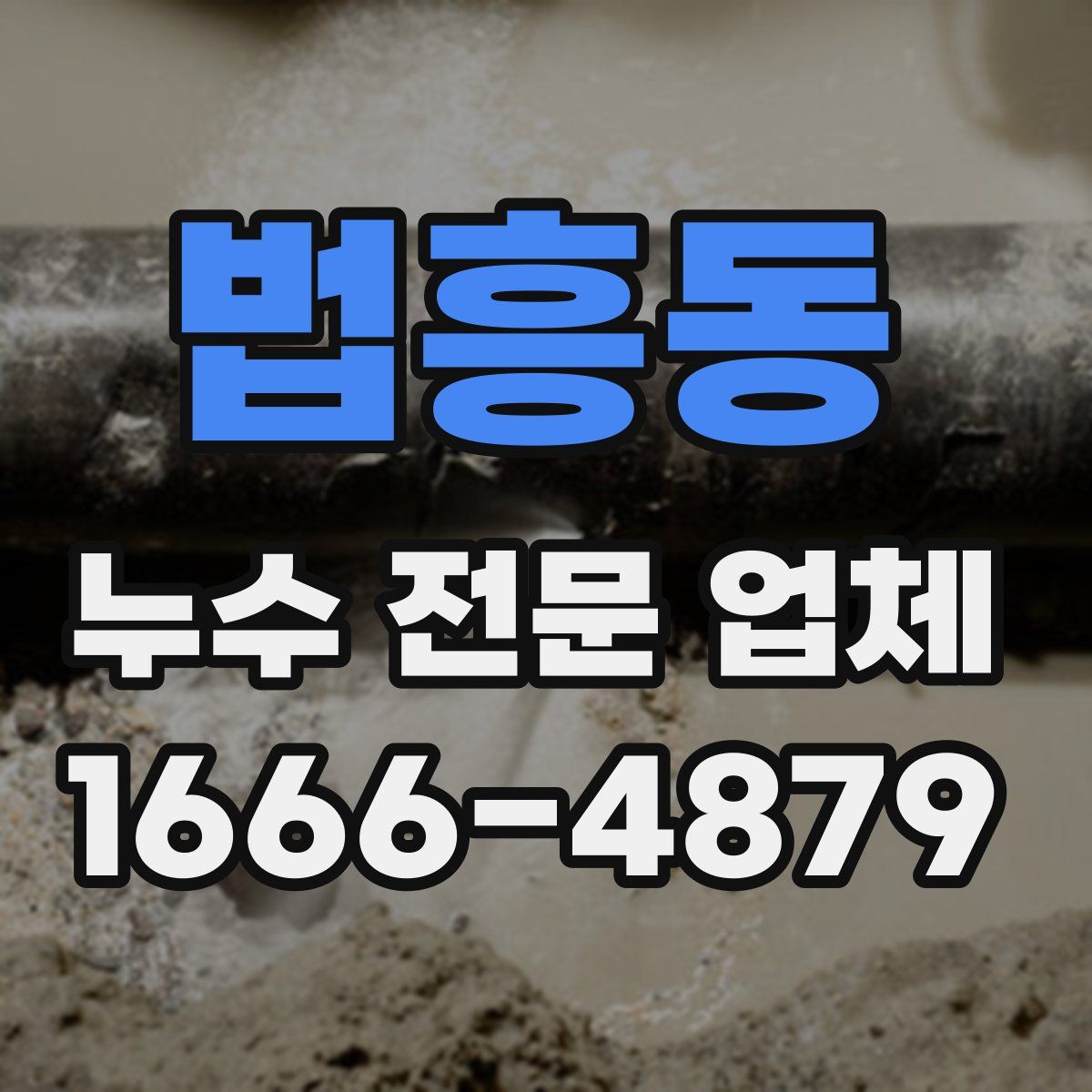 법흥동 누수 전문 업체