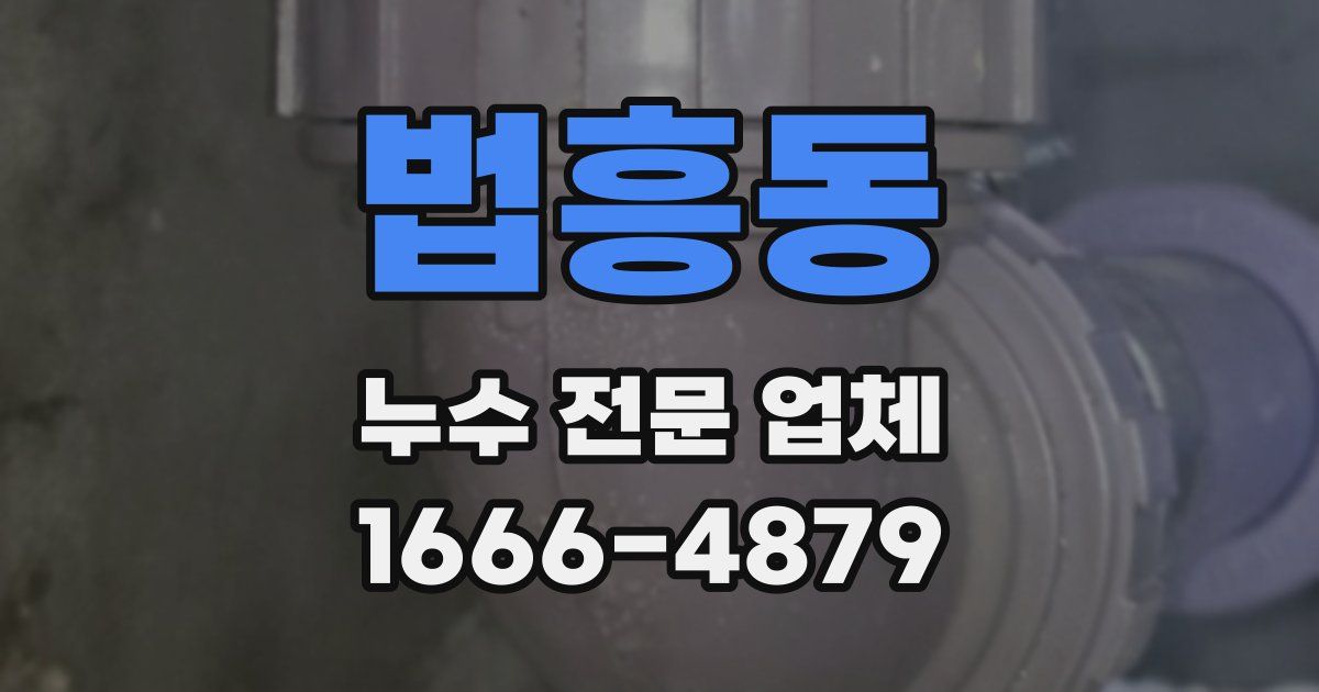 법흥동 누수 전문 업체