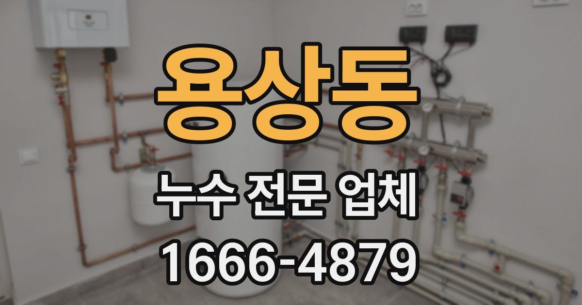용상동 누수 전문 업체