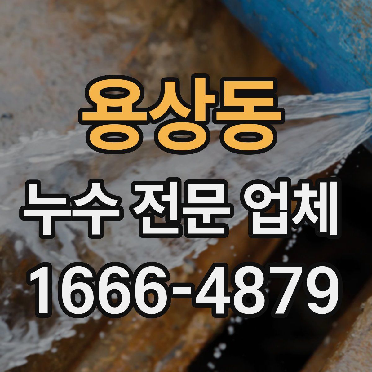 용상동 누수 전문 업체