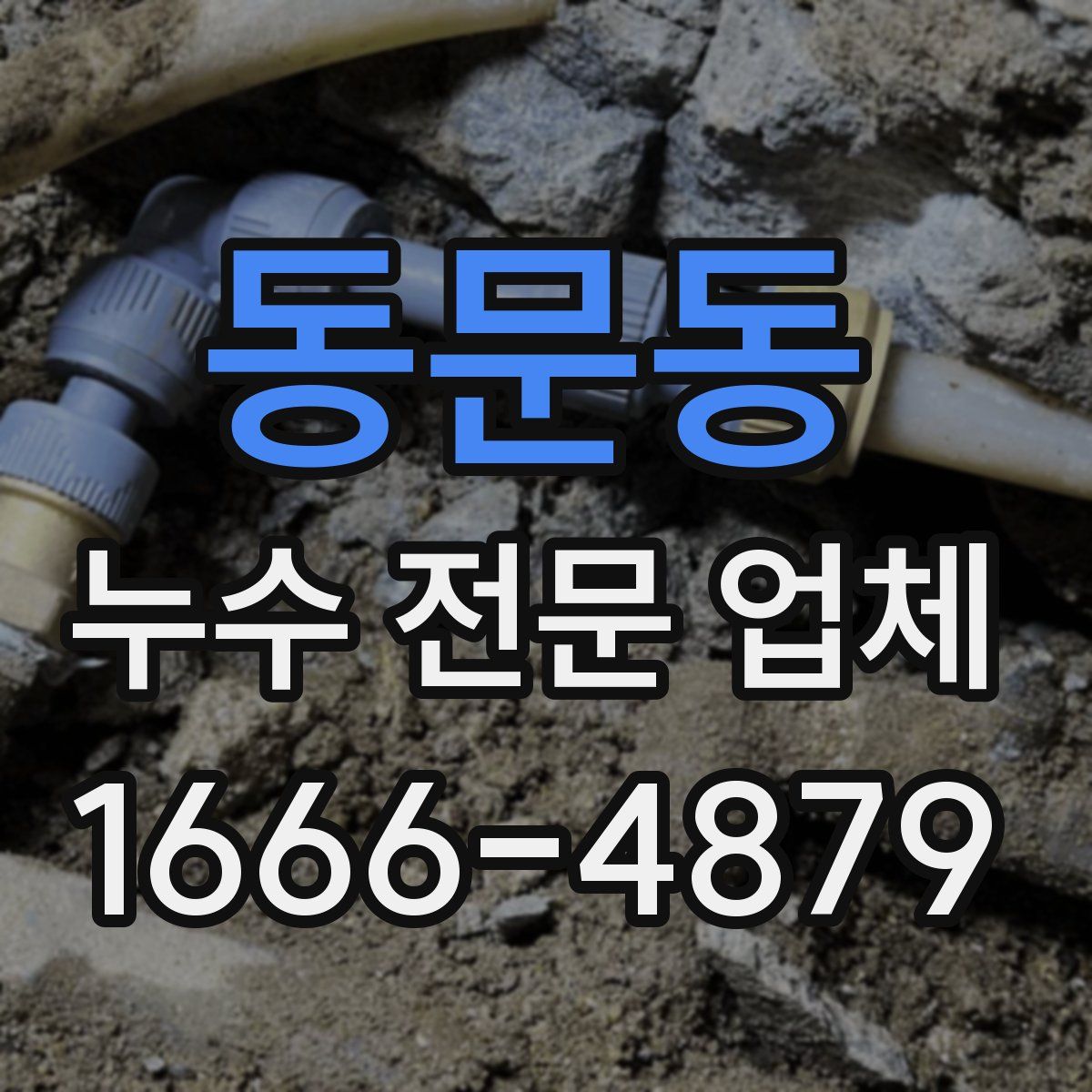 동문동 누수 전문 업체
