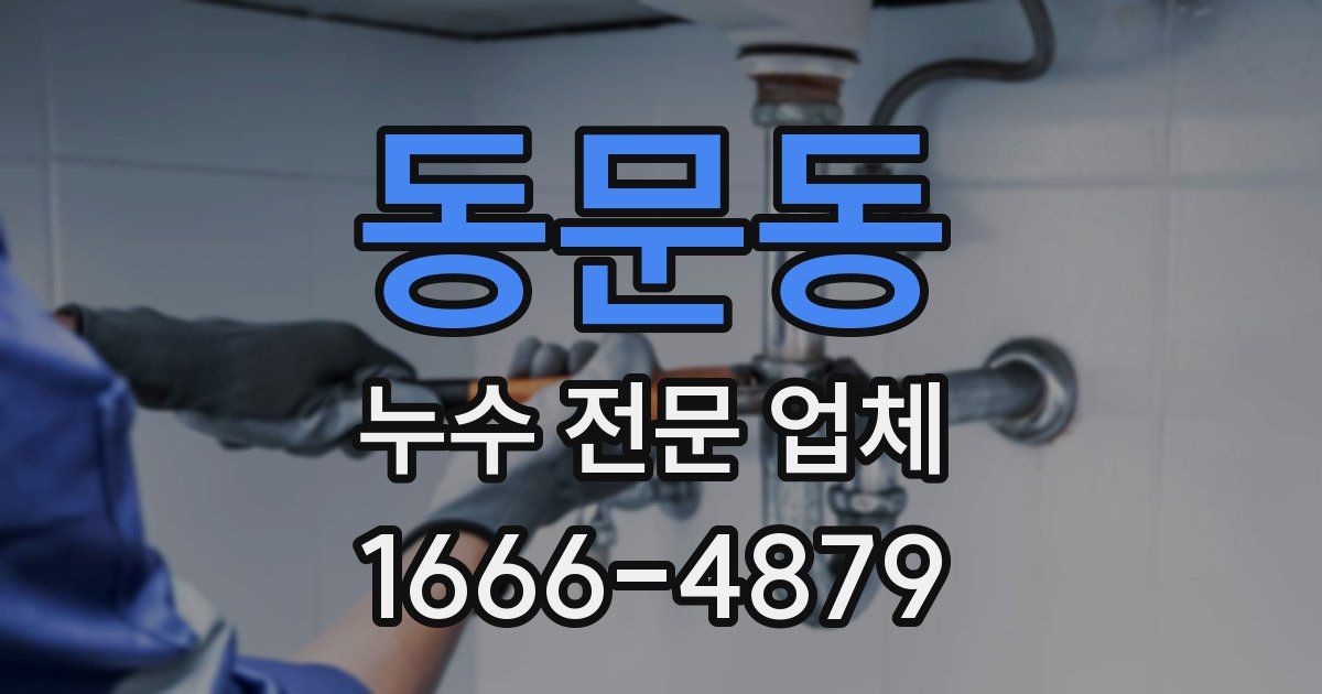 동문동 누수 전문 업체