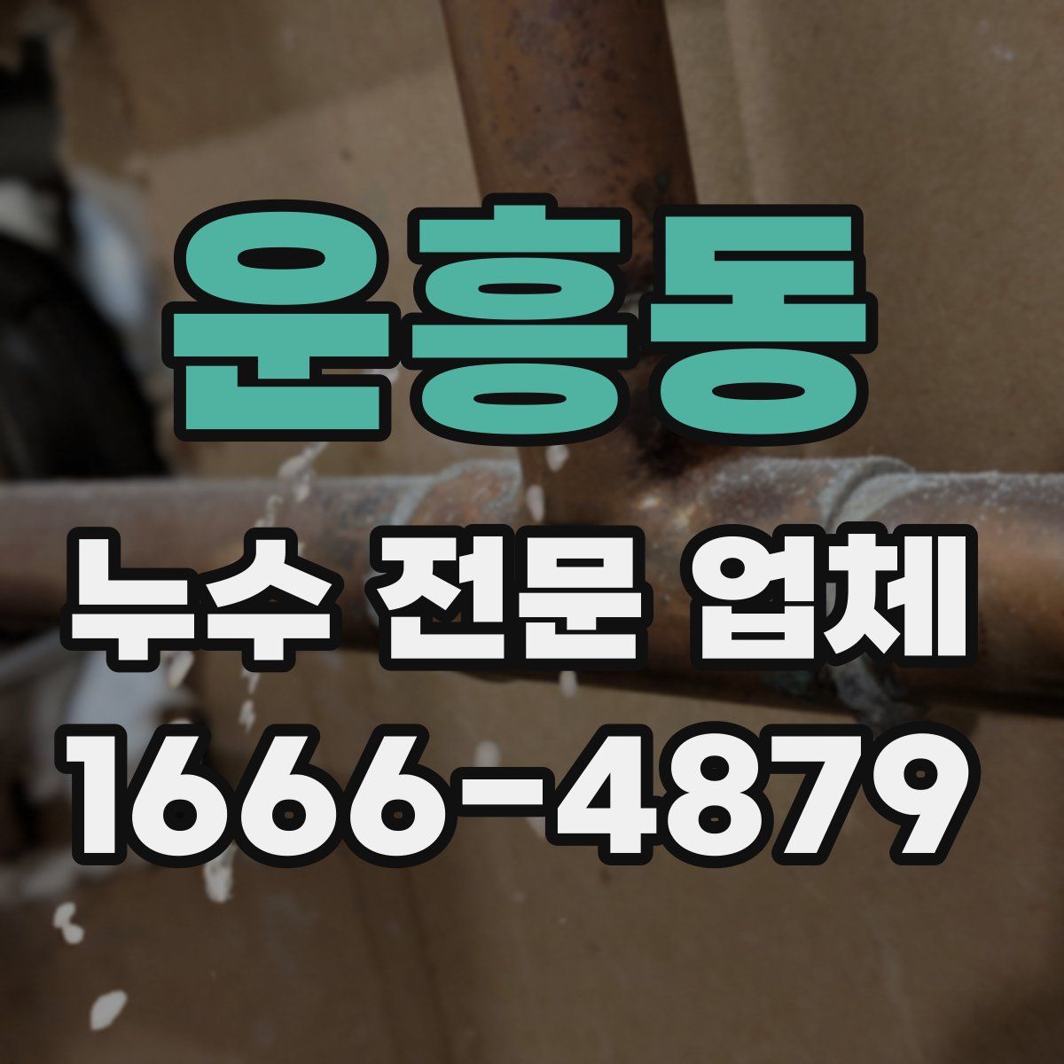 운흥동 누수 전문 업체