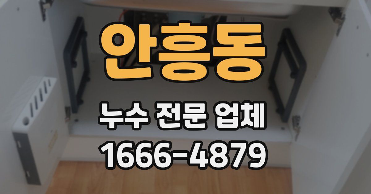 안흥동 누수 전문 업체
