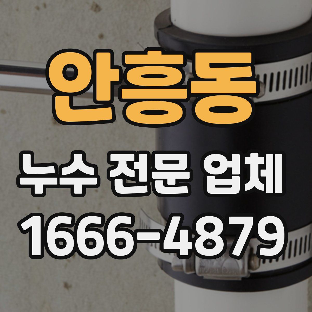 안흥동 누수 전문 업체