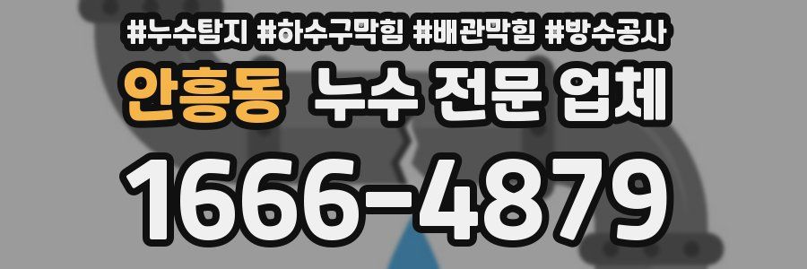 안흥동 누수 전문 업체