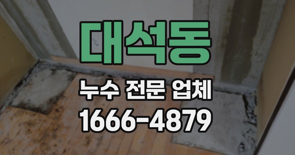 대석동 누수 전문 업체