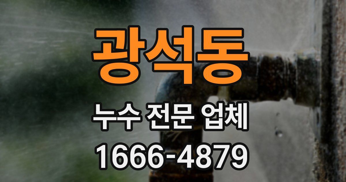 광석동 누수 전문 업체