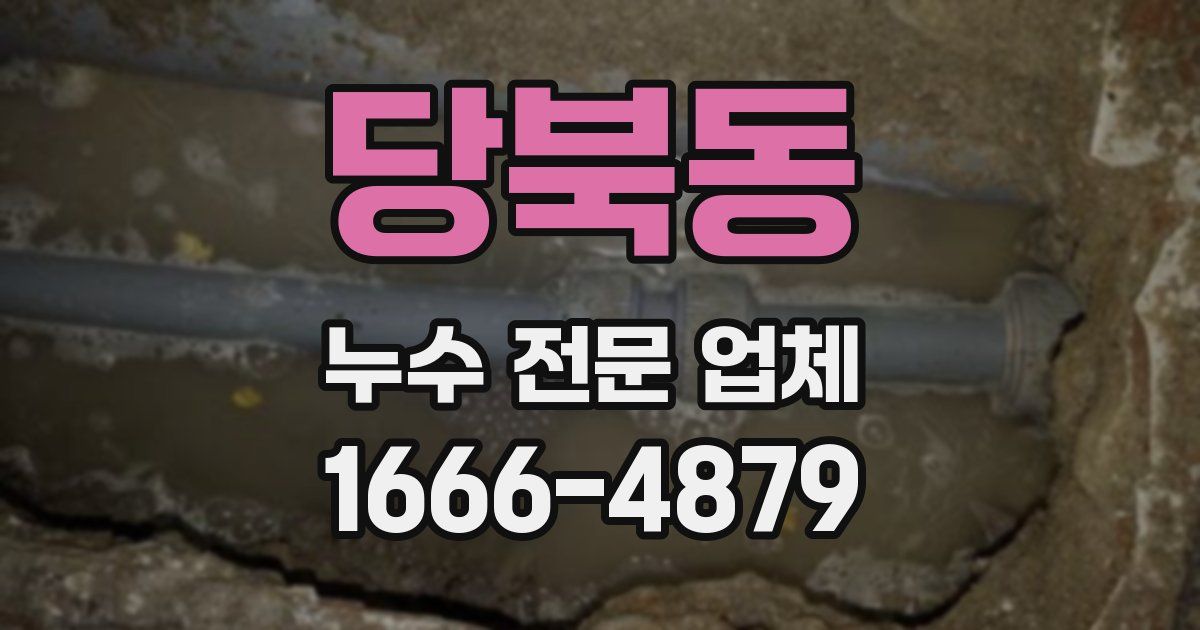 당북동 누수 전문 업체