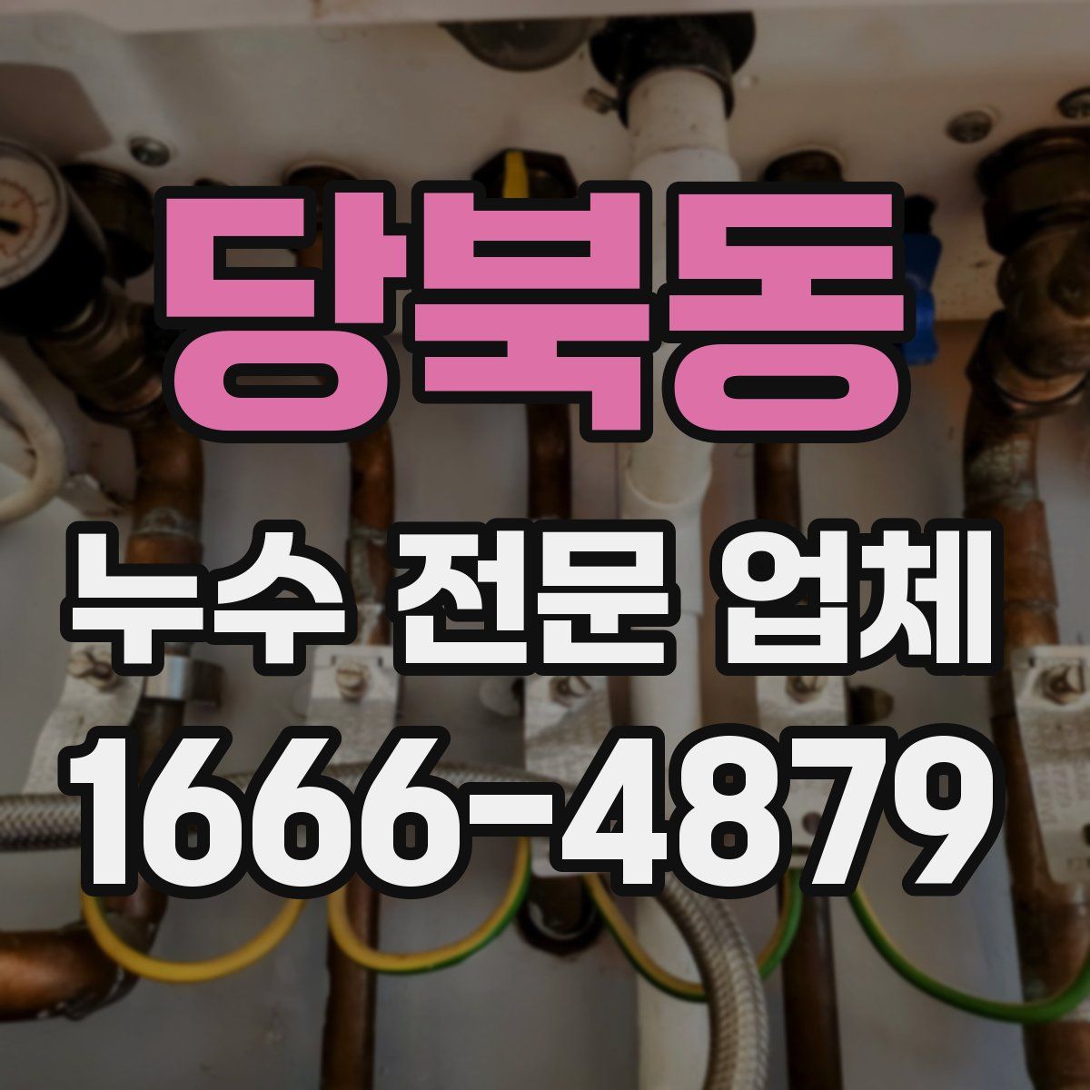 당북동 누수 전문 업체